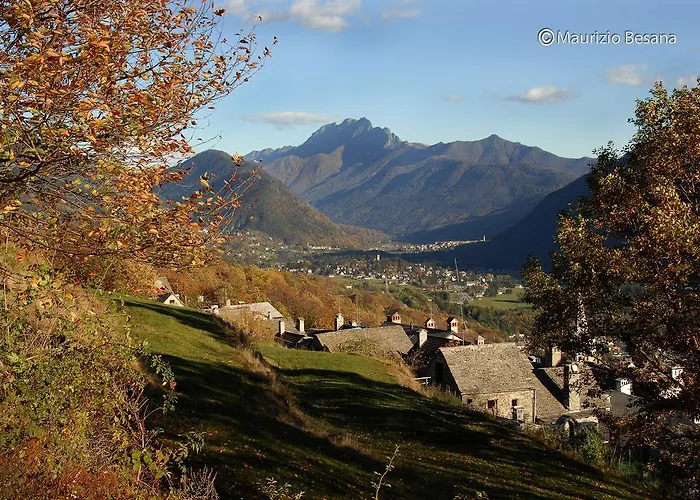 Chalet La Primula